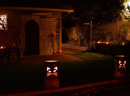 Backyard
