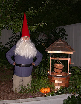 Garden Gnome and Wishing Well