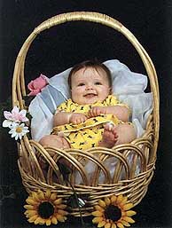 Baby in a Basket