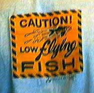 Caution - Low Flying Fish
