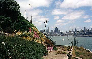 view of San Francisco