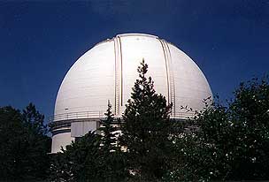 Dome through the Trees