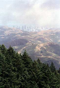 View of SF from Marin