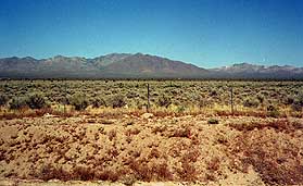 Mojave Desert 1
