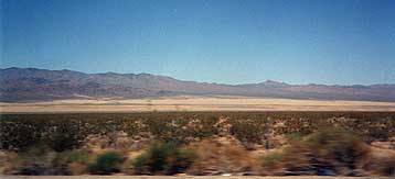 Mojave Desert 2