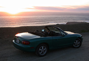 Pacific Coast Teal BRIATA 