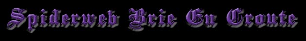 Spiderweb Brie En Croute